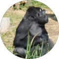 Mark Richards Avatar